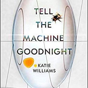 Book review: Tell the Machine&nbsp;Goodnight