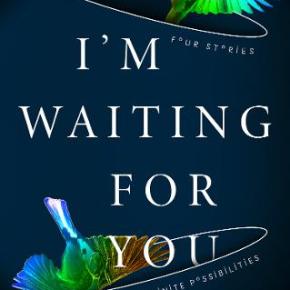 Book review: I’m waiting for&nbsp;you